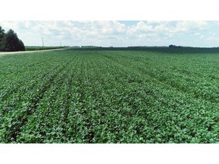 Farmland in Fulton & Marshall Counties, Indiana - LAND AUCTION - 541.3+/- ACRES IN 9 TRACTS IN FULTON & MARSHALL COUNTIES, INDIANA
